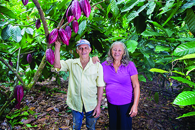A couple stand next to a cocoa pod tree with large purple cocoa pods.